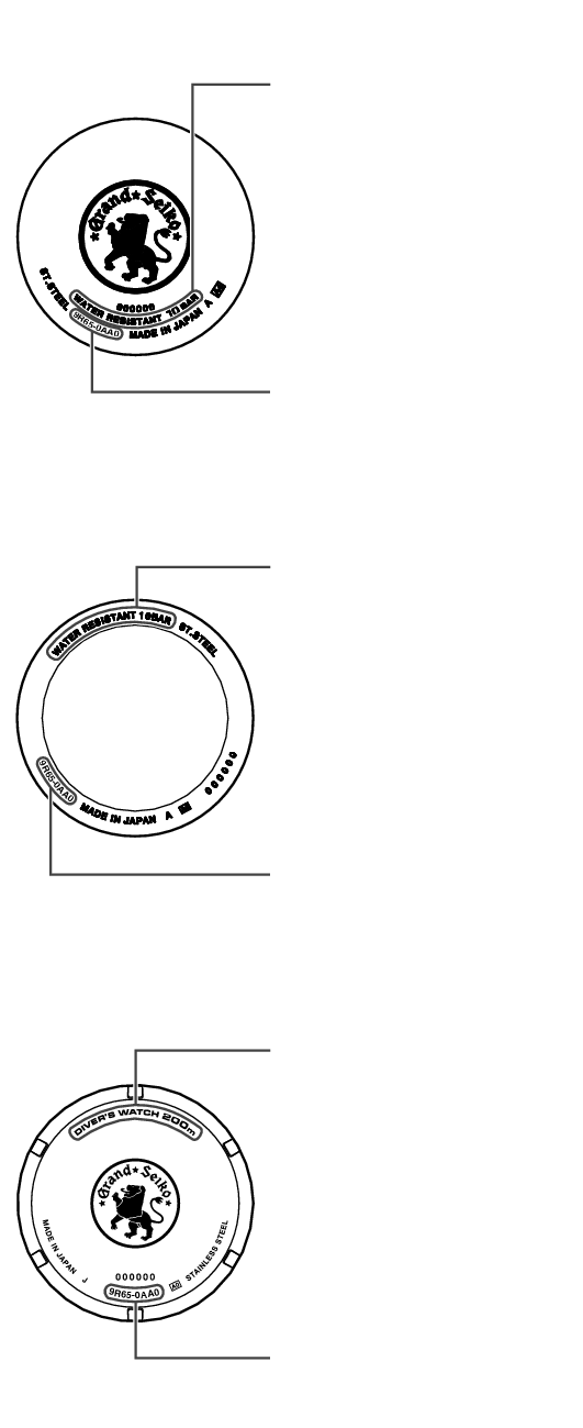 9R_Performance and type V + Performance and type V