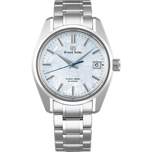 Seiko watchfinder sales