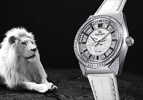 O leão branco, um relógio de joalheria Grand Seiko de artesanato