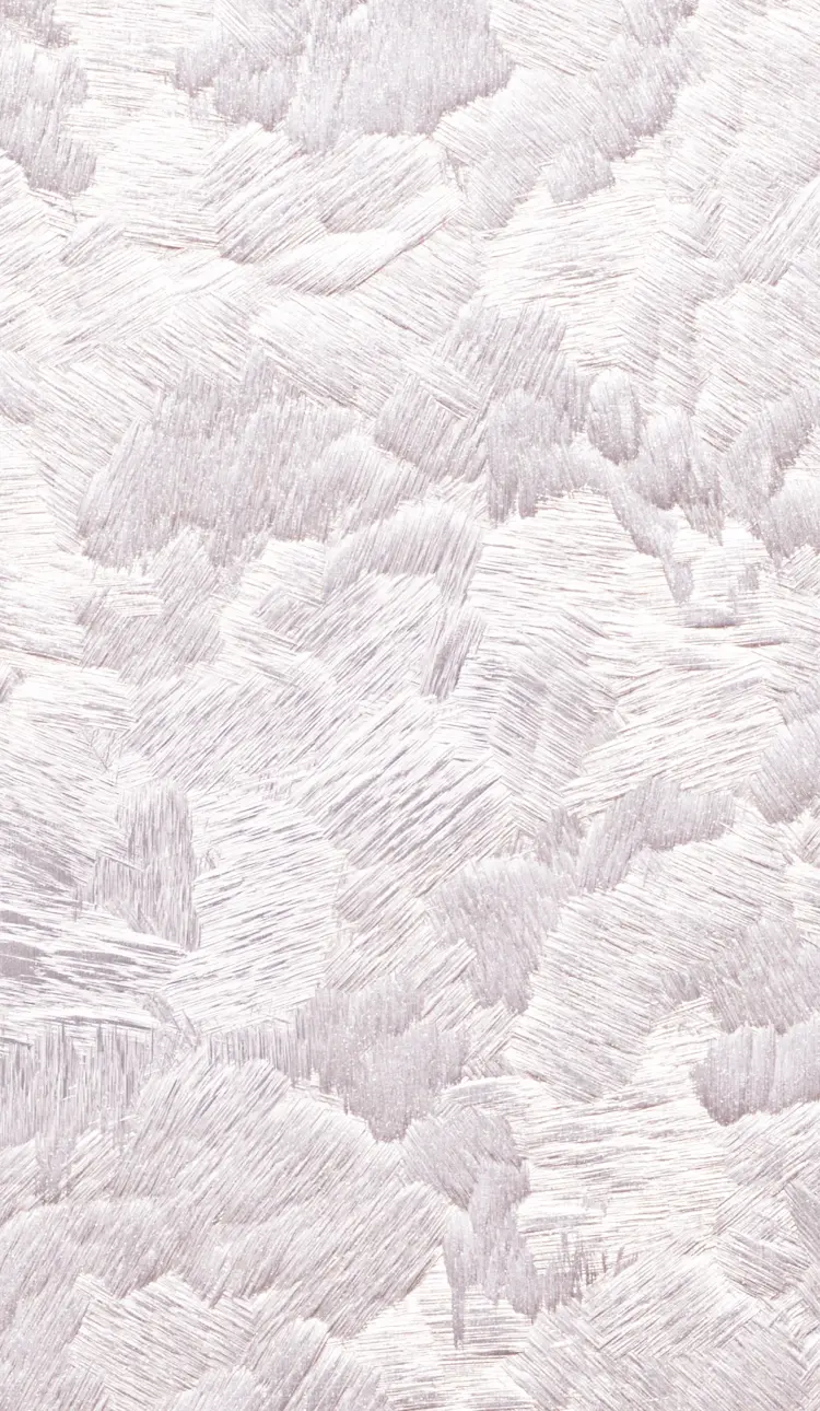 Cherry Blossoms Image