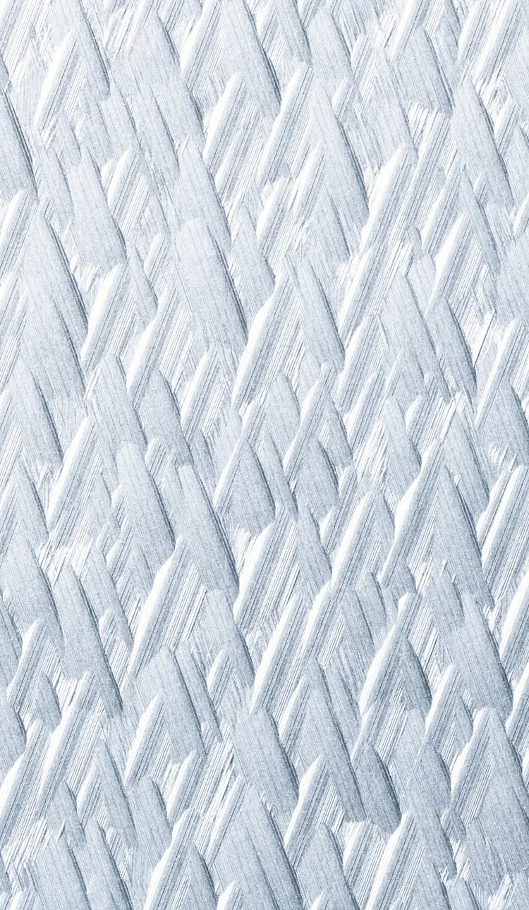 Ice Forest Image