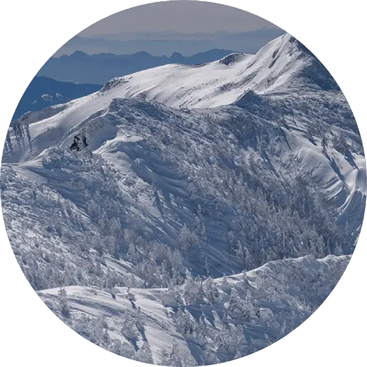 Copo de Nieve Image 1