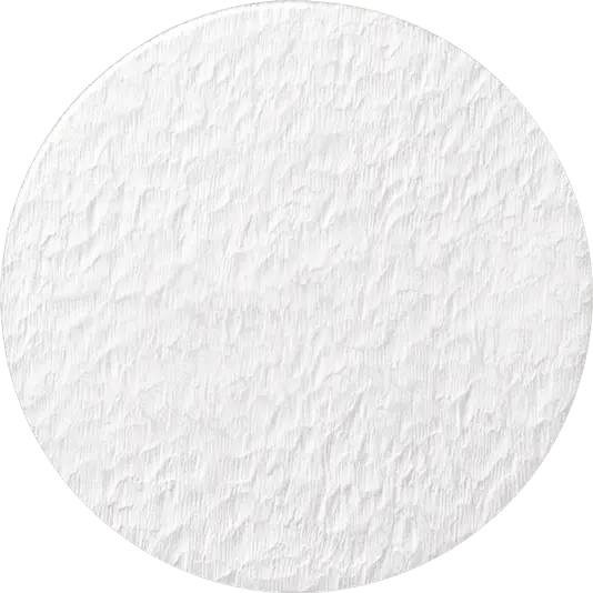 Snowflake Image 2