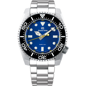 SBGX337
