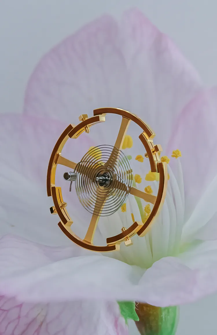 GRAND SEIKOの9S Mechanicalムーブメントに含まれるパーツ“Balance”をアートのように切り取ったビジュアル。