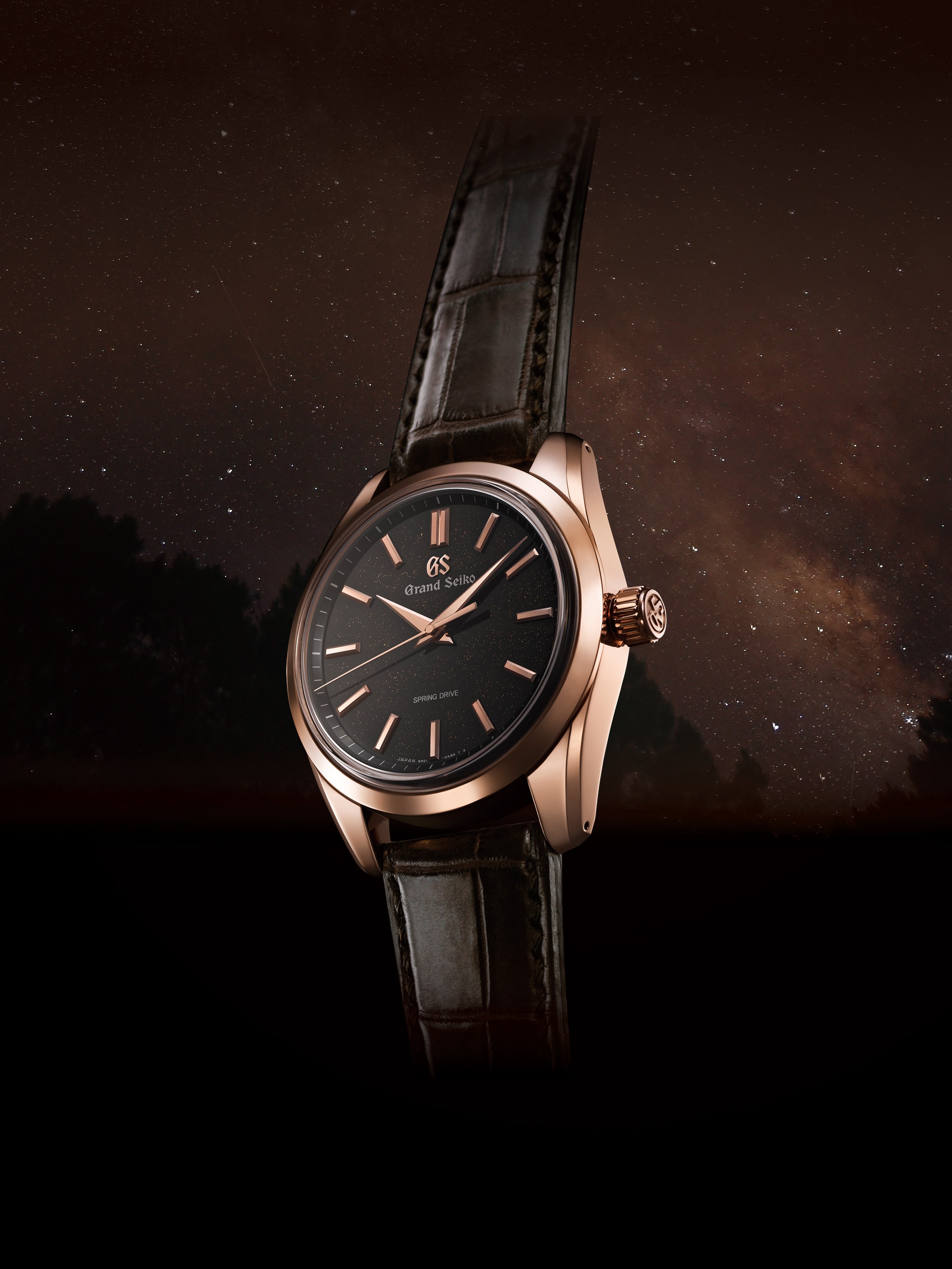 Grand seiko spring drive black dial hotsell