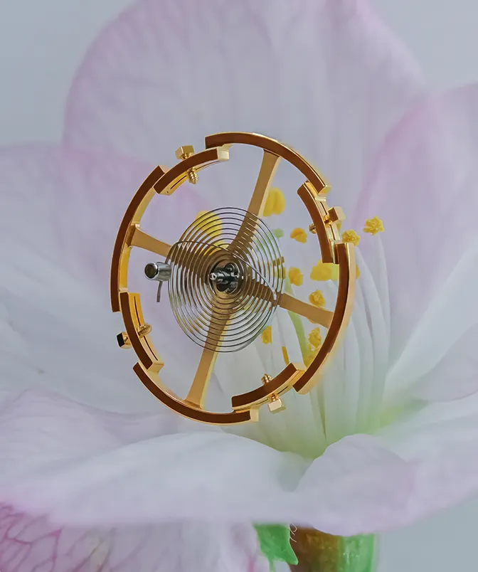 A visual that captures the Balance, a part contained in Grand Seiko's 9S Mechanical movement, like a piece of art.