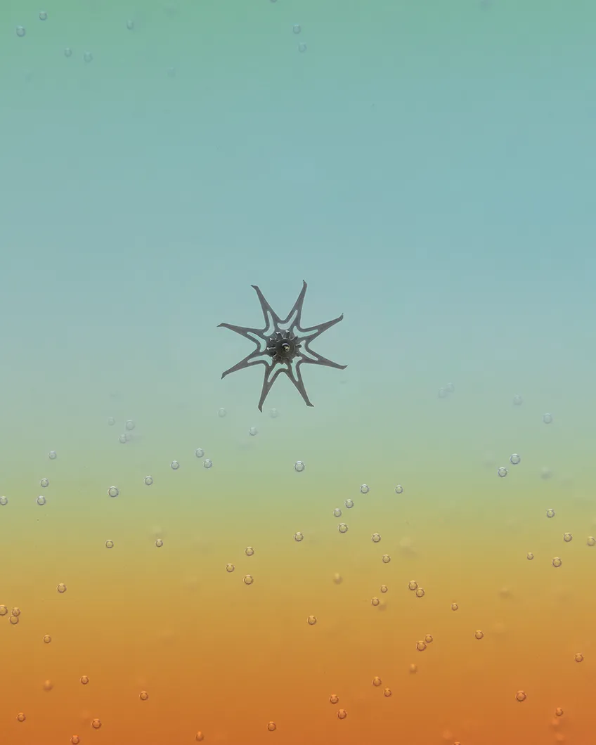 A visual capturing the Escape wheel, a part of the Grand Seiko 9S Mechanical movement, like a piece of art.