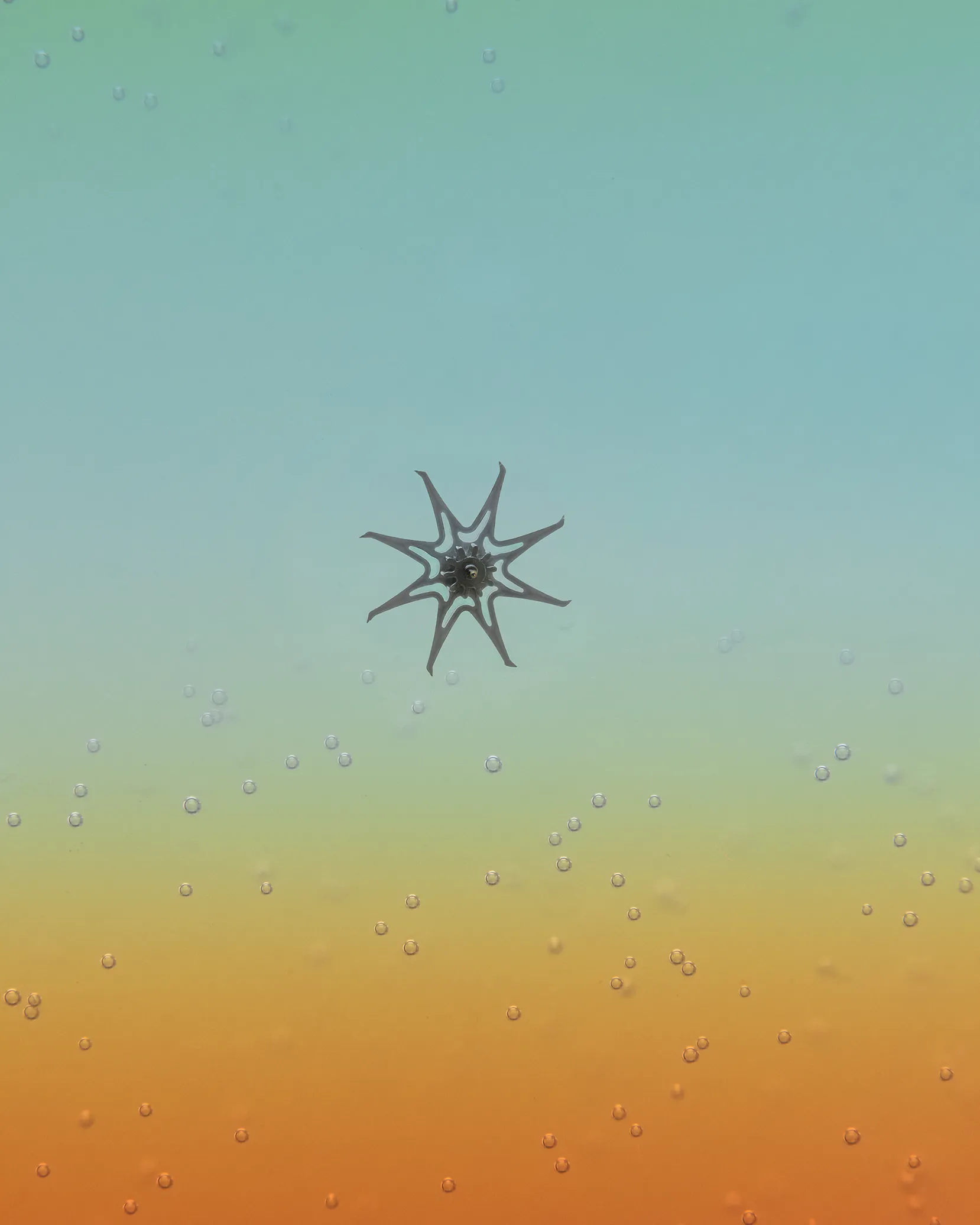 Escape Wheel