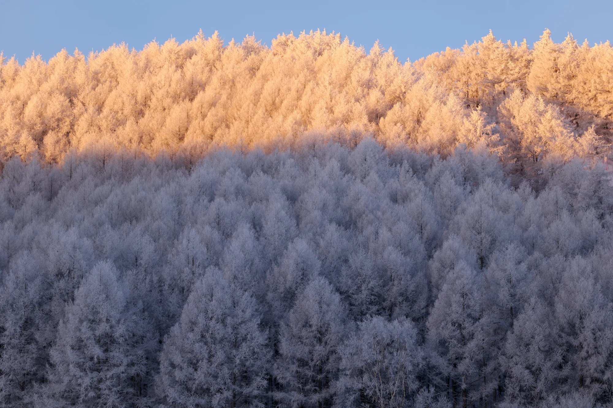 Landscape photograph by Yusuke Abe