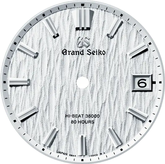 Florestas de Bétulas Forest Image 3