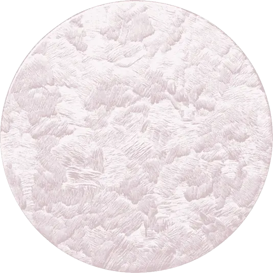 Cherry Blossoms Image 2