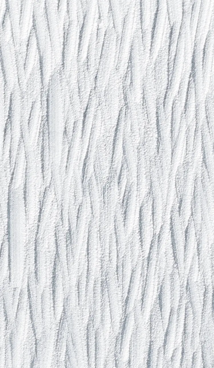 White Birch Forest Image