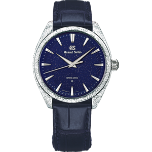SBGZ007J
