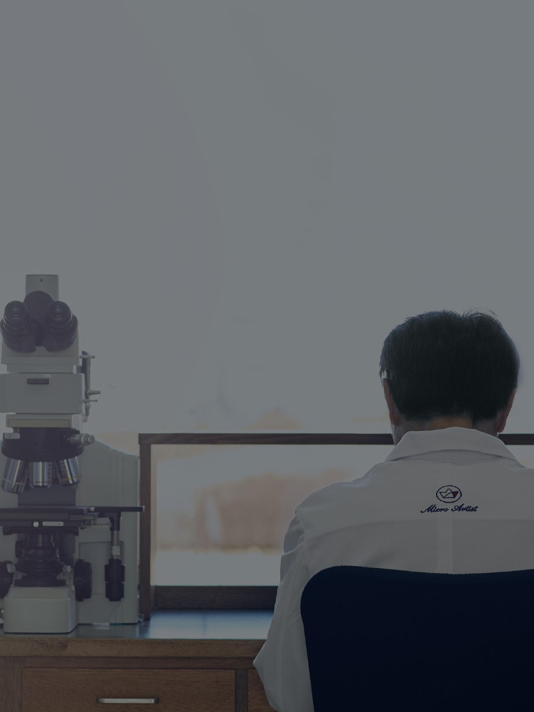 The Micro Artist Studio | Grand Seiko