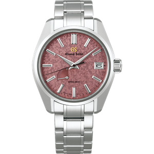SBGA509